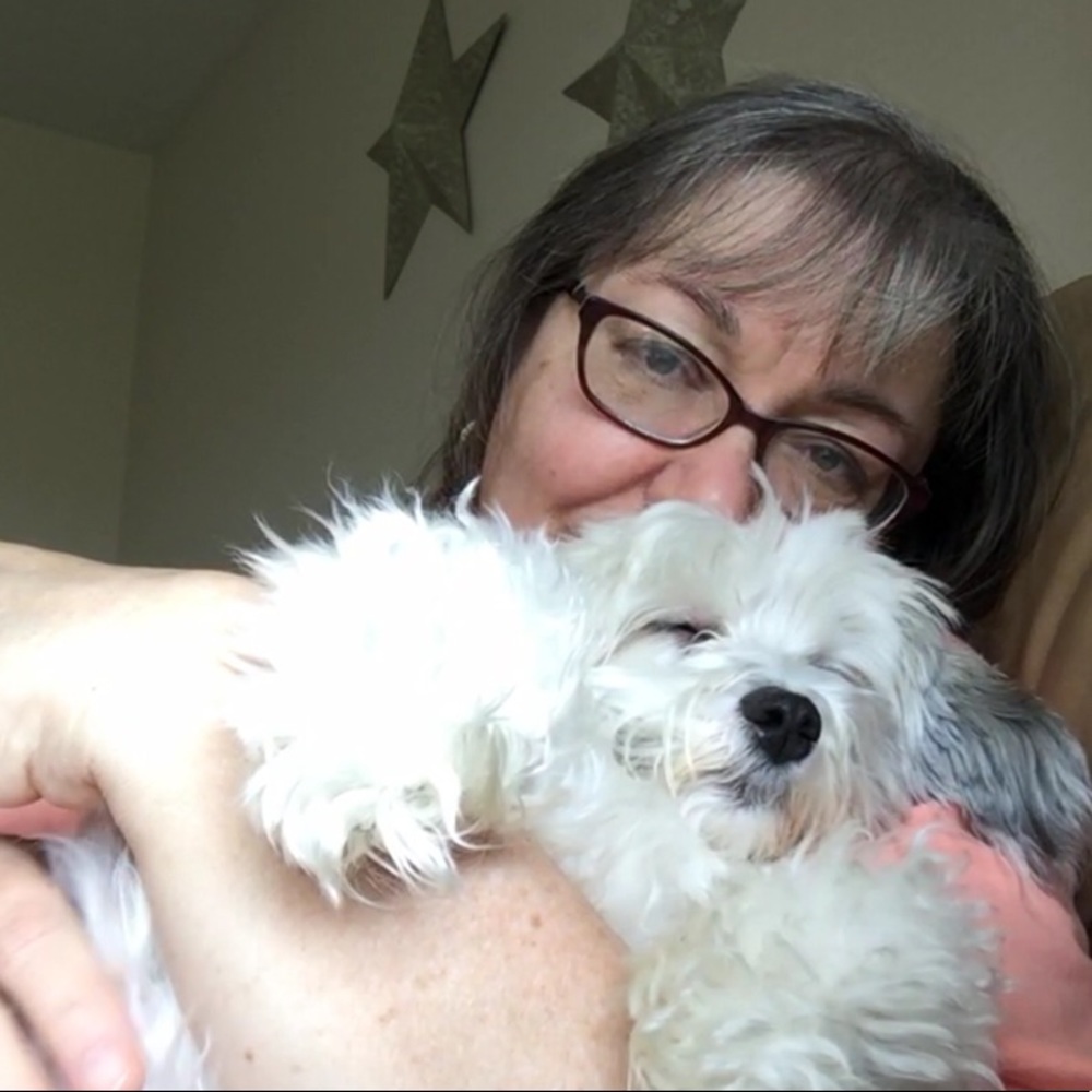 Meet your Posher, Phyliss